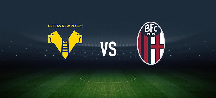 比赛节奏的 比赛节奏的