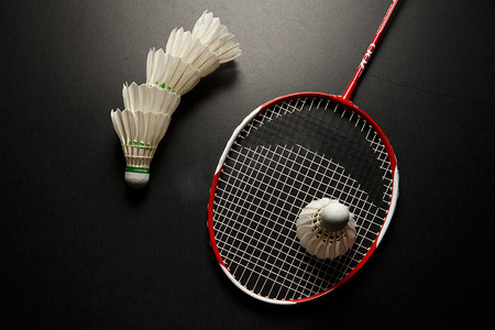 洲在拉丁美 洲在拉丁美