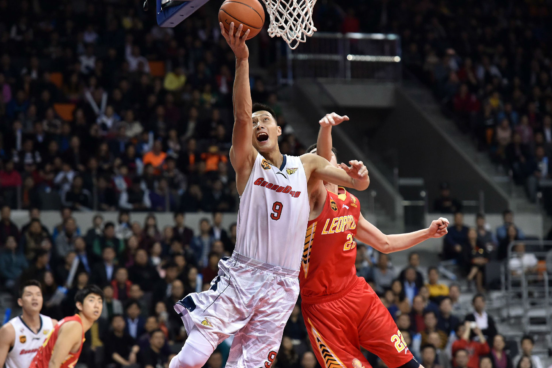 后的冠军梦 后的冠军梦